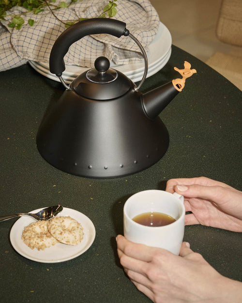 9093 Default Title Kettle Alessi 1